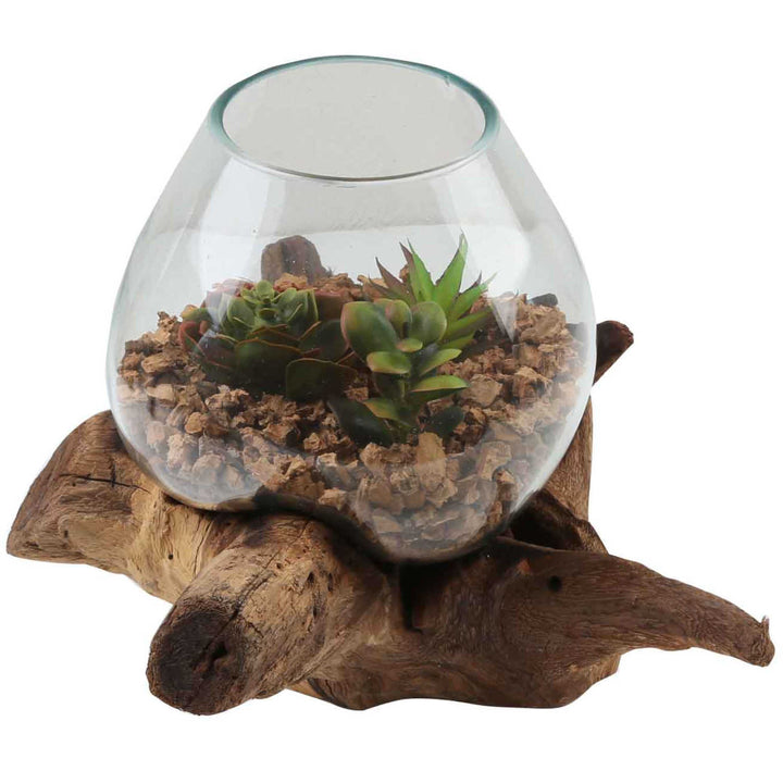 Vase en verre sur bois de racine A20
