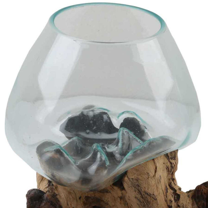 Vase en verre sur bois de racine A20