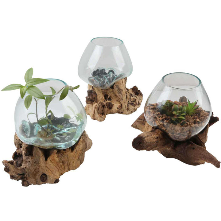Vase en verre sur bois de racine A20