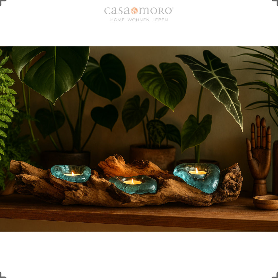 Photophore allongé en verre et bois de racine devant des plantes vertes luxuriantes, sa lumière douce souligne l'atmosphère calme et naturelle.